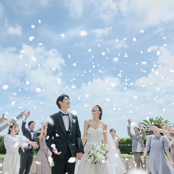 期間限定プラン