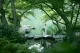 八芳園