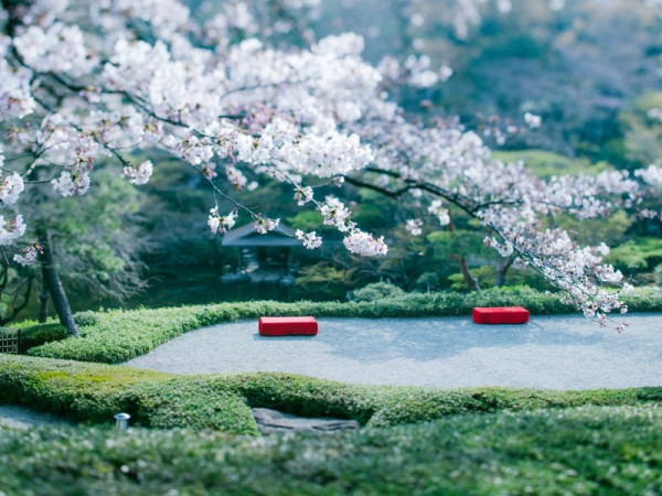 八芳園