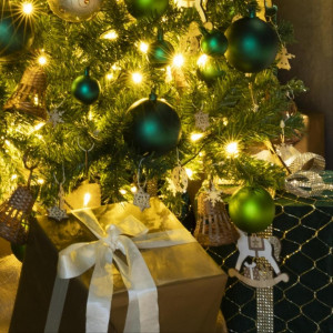 残▲【12/20限定】Xmasプレミアム*豪華試食&スイーツ体験