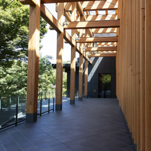 エントランスのアプローチには木のぬくもりを感じる設え。天井から差し込むあたたかな光が期待感をもたらします。|八芳園の写真(55460144)