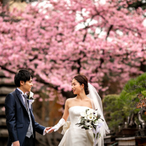 2月中旬の河津桜から4月上旬のソメイヨシノまで楽しむことができる桜|八芳園の写真(17369042)