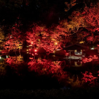 【期間限定】赤く染まる秋の日本庭園×豪華特別試食フェア