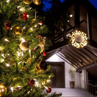 残▲【Xmas限定】豪華4品試食×全館グランドオープン記念フェア