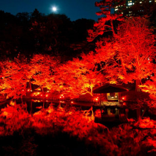 【期間限定】赤く染まる秋の日本庭園×豪華特別試食付きフェア