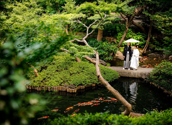 八 芳 園 提携 ドレス コレクション