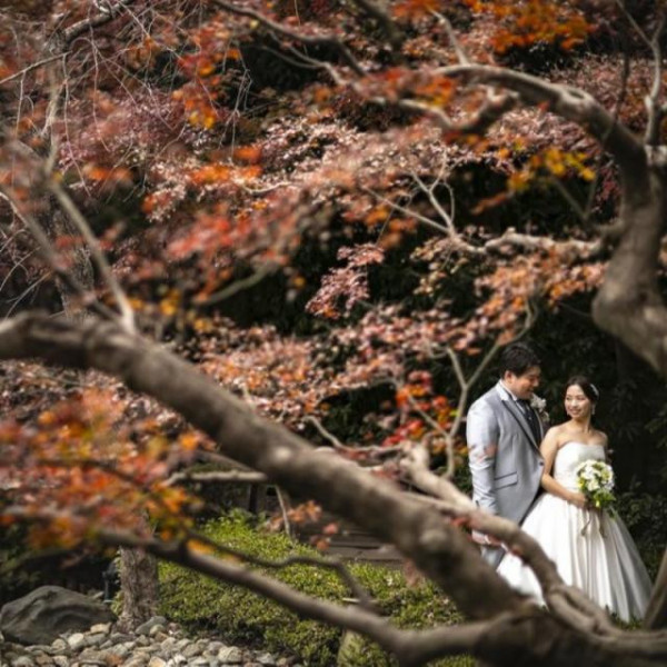 紅葉の時期限定の美しいロケーション