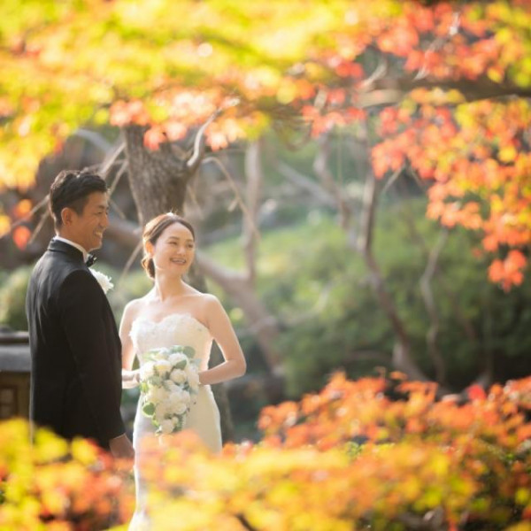 紅葉の時期限定の美しいロケーション