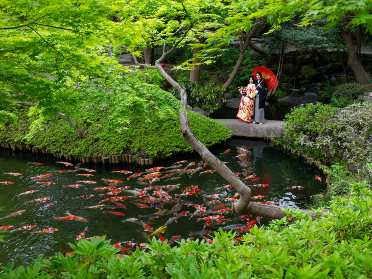 ありのままの姿を残し続ける日本庭園