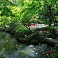 八芳園