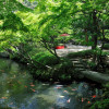 八芳園