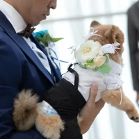 ホテルボストンプラザ草津