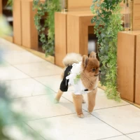 ホテルボストンプラザ草津
