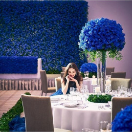 【月・木・金曜限定】館内まるごと貸切見学×3万円相当フレンチ試食