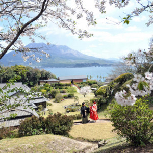 【月1BIGフェア×先着3組様限定】桜×桜島×美食試食×ベストレート
