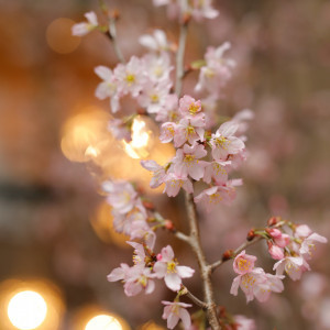 テラスには常に季節のお花が飾られます|TABLEAUX(タブローズ)の写真(16953029)