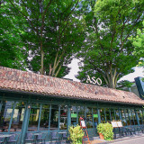 代官山駅徒歩5分。旧山手通り沿いのカフェ・ミケランジェロがリストランテASOの入り口。