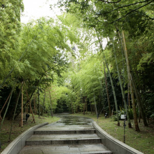 渋谷の駅前である事を忘れられる落ち着いた雰囲気。|セルリアンタワー東急ホテルの写真(518049)