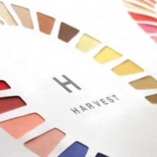 1組限定《パーソナルカラー診断》試食付!ドレス選びにも役立つ