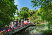 東郷神社／原宿 東郷記念館