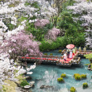 東郷神社／原宿 東郷記念館