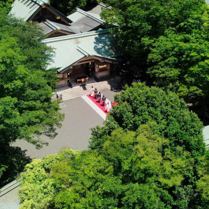 大空と緑に囲まれた東郷の杜|東郷神社／原宿 東郷記念館の写真(49258767)