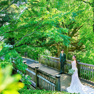 百年の迎賓の心が いまもこの庭に息づいている。──ここは、「結びの庭」|東郷記念館／THE GARDENの写真(55753567)