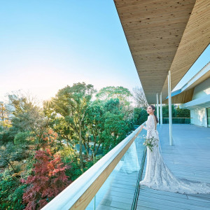 桜、新緑、紅葉…訪れるたび表情を変える庭園背景にフォト