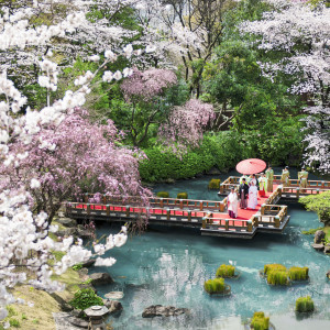 1万坪の庭園を貸切にして叶う「参進の儀」|東郷神社／原宿 東郷記念館の写真(35635345)