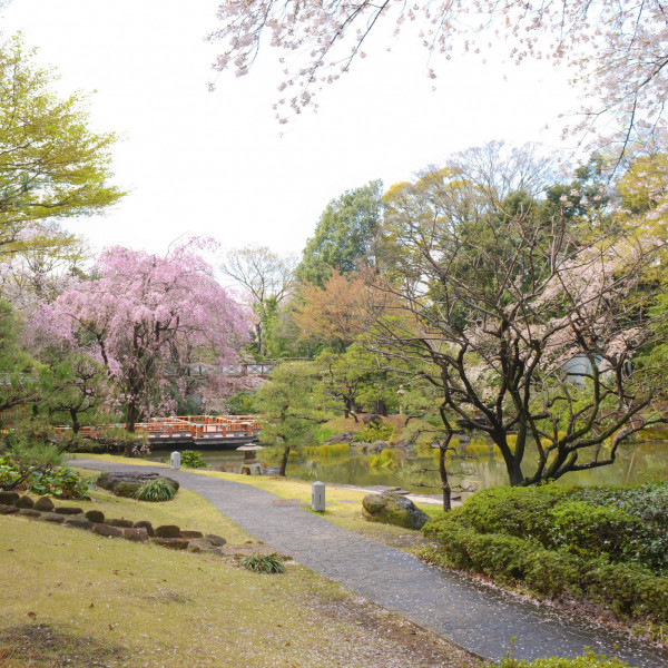 東郷神社 原宿 東郷記念館の結婚式費用 プラン料金 ウエディングパーク