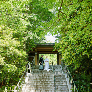 【平日GW限定】本格神社見学×ALL会場見学×絶品婚礼試食