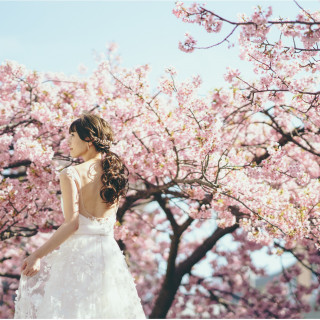 ＼期間限定開催／桜さく日本庭園 BRIDAL FAIR