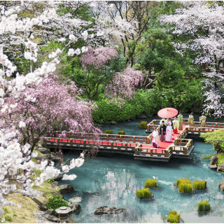 残り僅か！【人気No1*15大特典付】神社挙式×絶品試食×貸切庭園