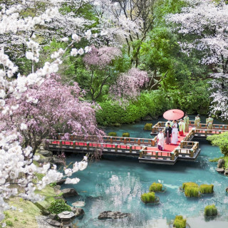 【月初BIG】AM神社特別見学×金目鯛*試食×“貸切”庭参進体験