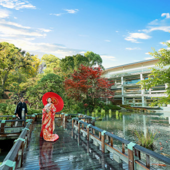 東郷神社境内の神池と日本庭園で日本の伝統美を