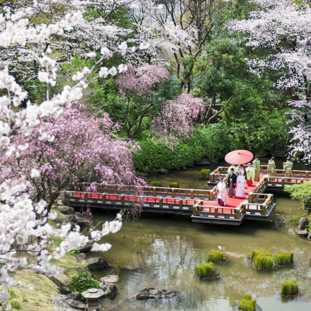 東郷神社/原宿 東郷記念館