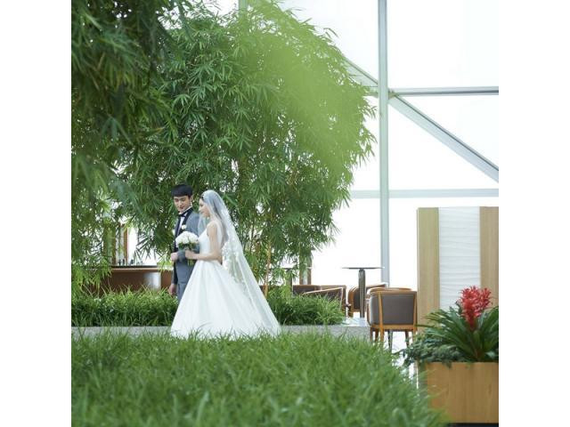 写真・動画によるホテル・婚礼施設のご案内