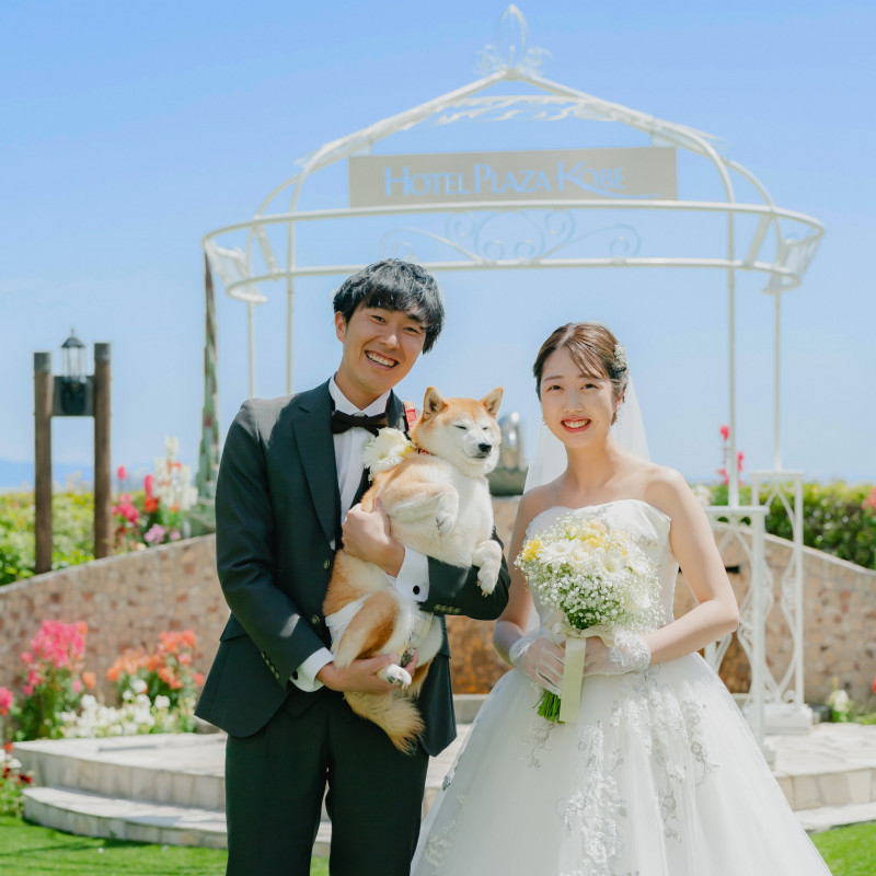 トップ 神戸 結婚 式 ペット