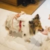 ホテルプラザ神戸