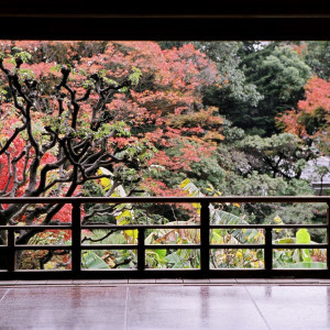 11月～12月にかけてはお庭が真っ赤に色付く紅葉シーズン。残るお写真も格別です。|THE GARDEN PLACE SOSHUEN（ザ・ガーデン・プレイス 蘇州園）の写真(858360)