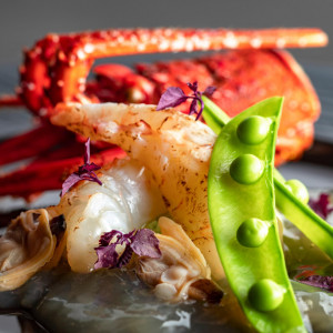 《週末BIG》卒花イチオシ◎紅葉庭園散策＆豪華試食付きフェア