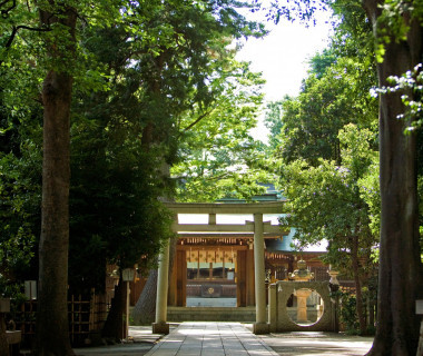 「荻窪八幡神社」の拝殿へとつづく、真っ直ぐな参道