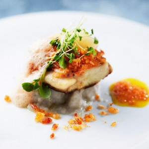 急遽増枠【年末だけの特典満載★】豪華フルコース試食付*7万GIFT