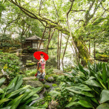 徳川慶喜公のお屋敷跡の庭園に現代の花嫁さん。広大な庭園も前撮りスポットとして大人気。