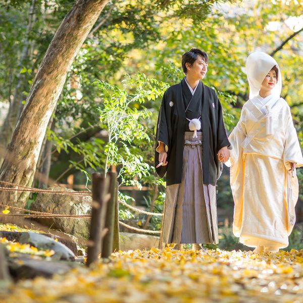 イチョウ絨毯の上を歩く。秋の一コマ。つないだ手から伝わる安心。|浮月楼の写真(2226225)