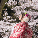 大井神社 宮美殿