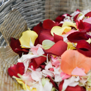 ホテルグランヒルズ静岡(旧ホテルセンチュリー静岡)の写真(54256545)