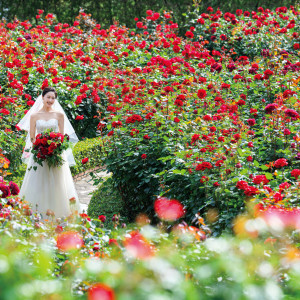 ローズガーデンや1万坪の日本庭園で、四季の彩り豊かな1枚を