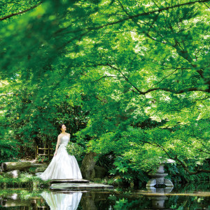 日本庭園|ホテルニューオータニの写真(23145064)