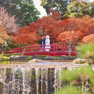【1万坪の日本庭園】神殿・庭見え会場×『絶景ビュッフェ』ご招待特典